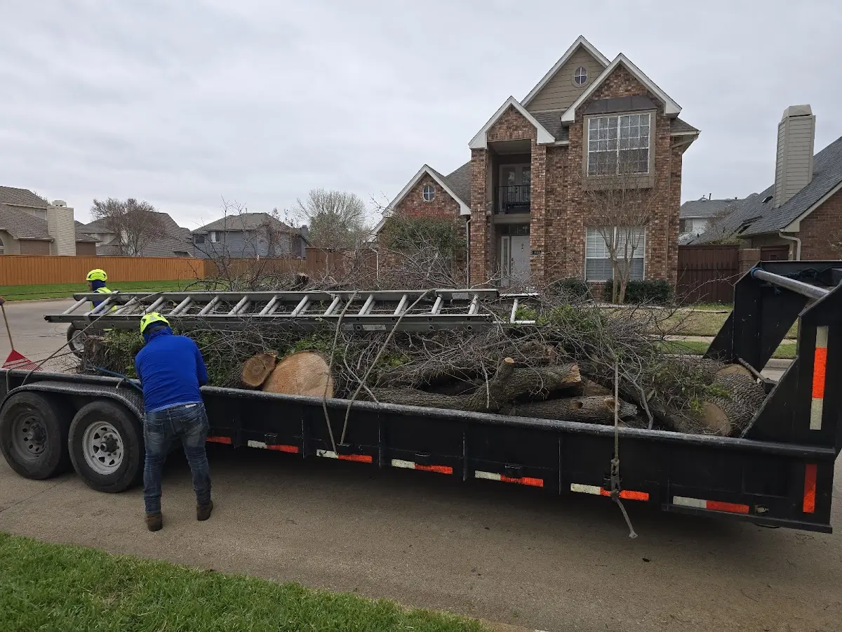 Expert Lot Clearing with proper safety equipment in Elsah